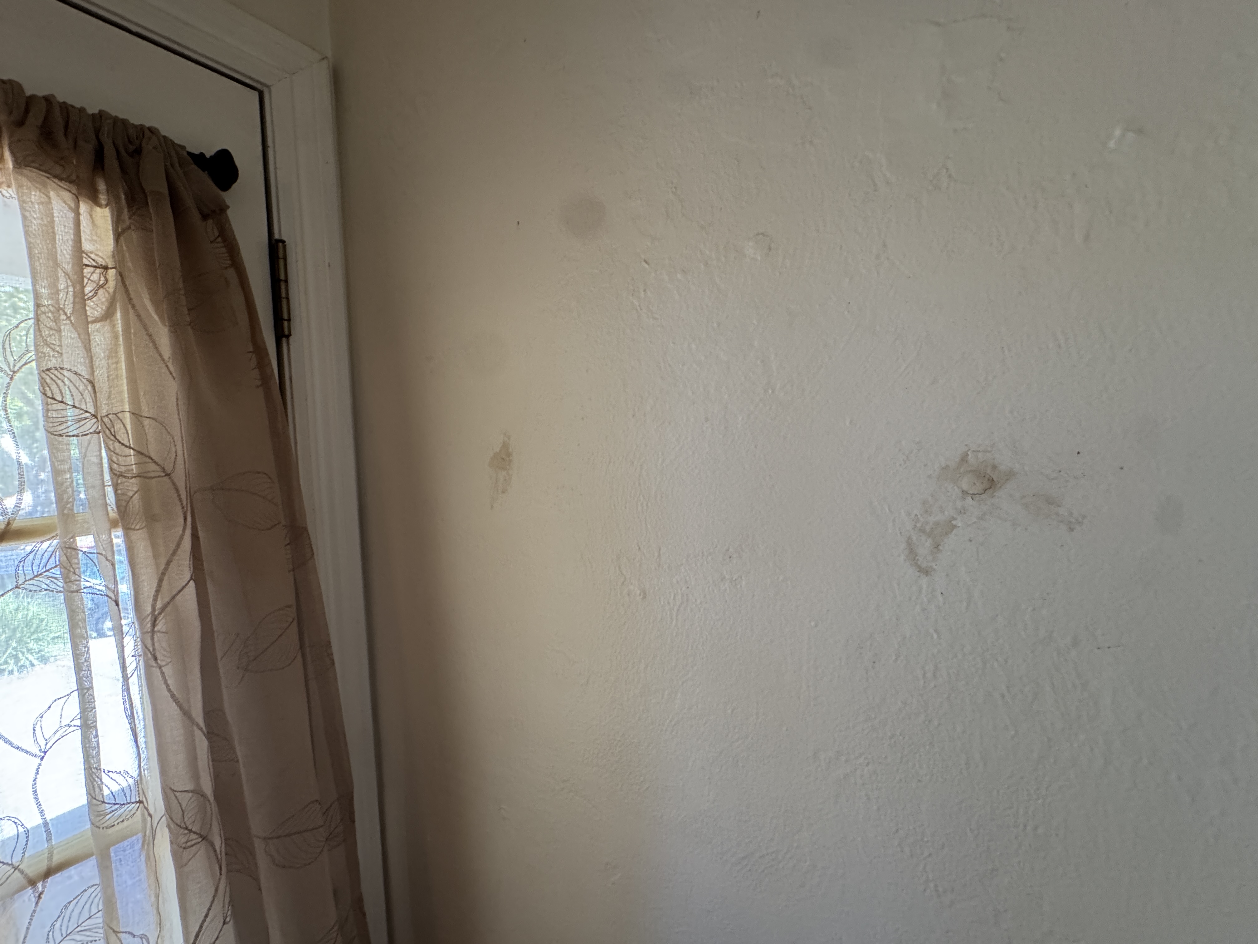 Front Door, photo 3