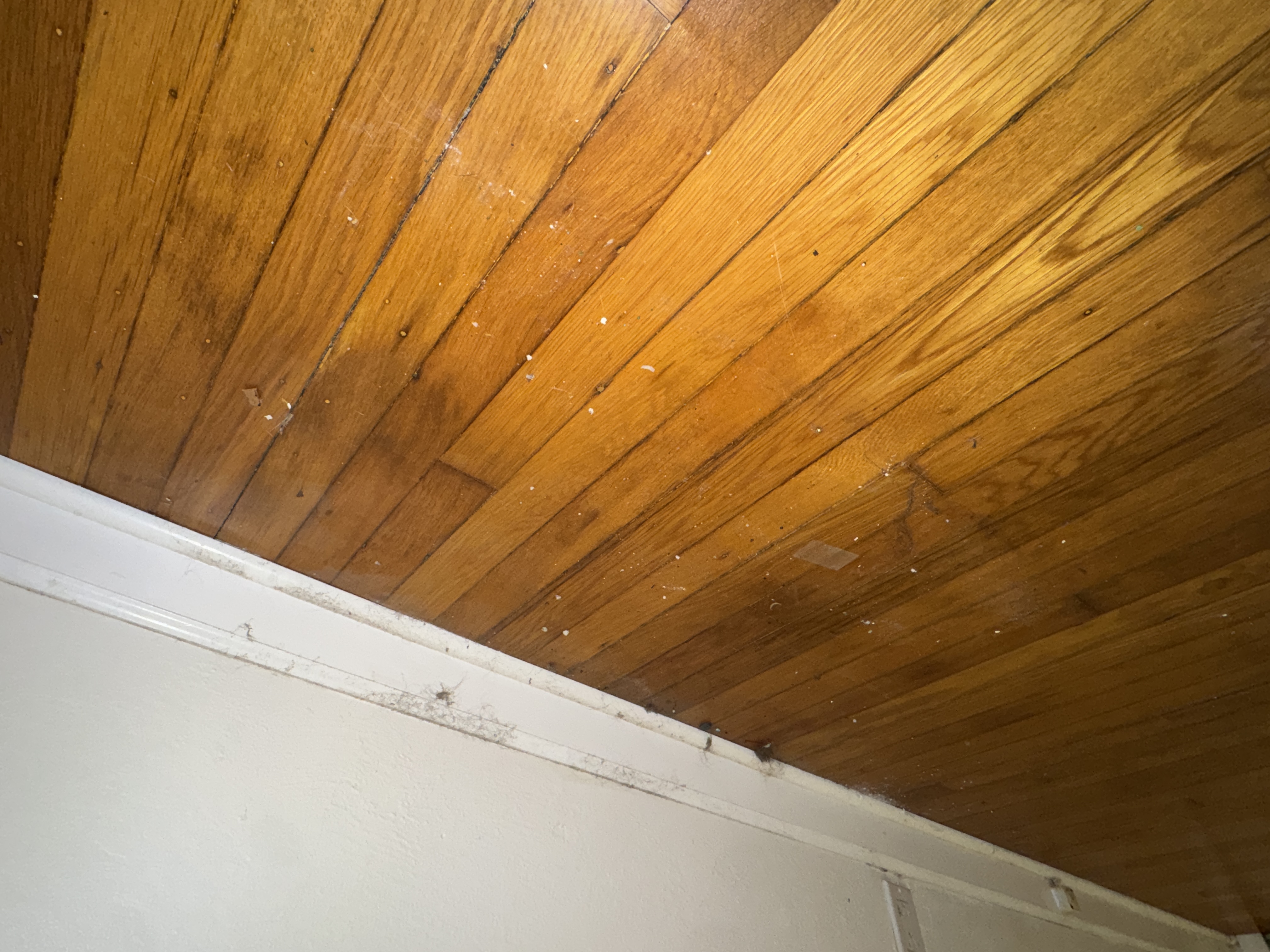 Bedroom 2 (Middle), photo 6