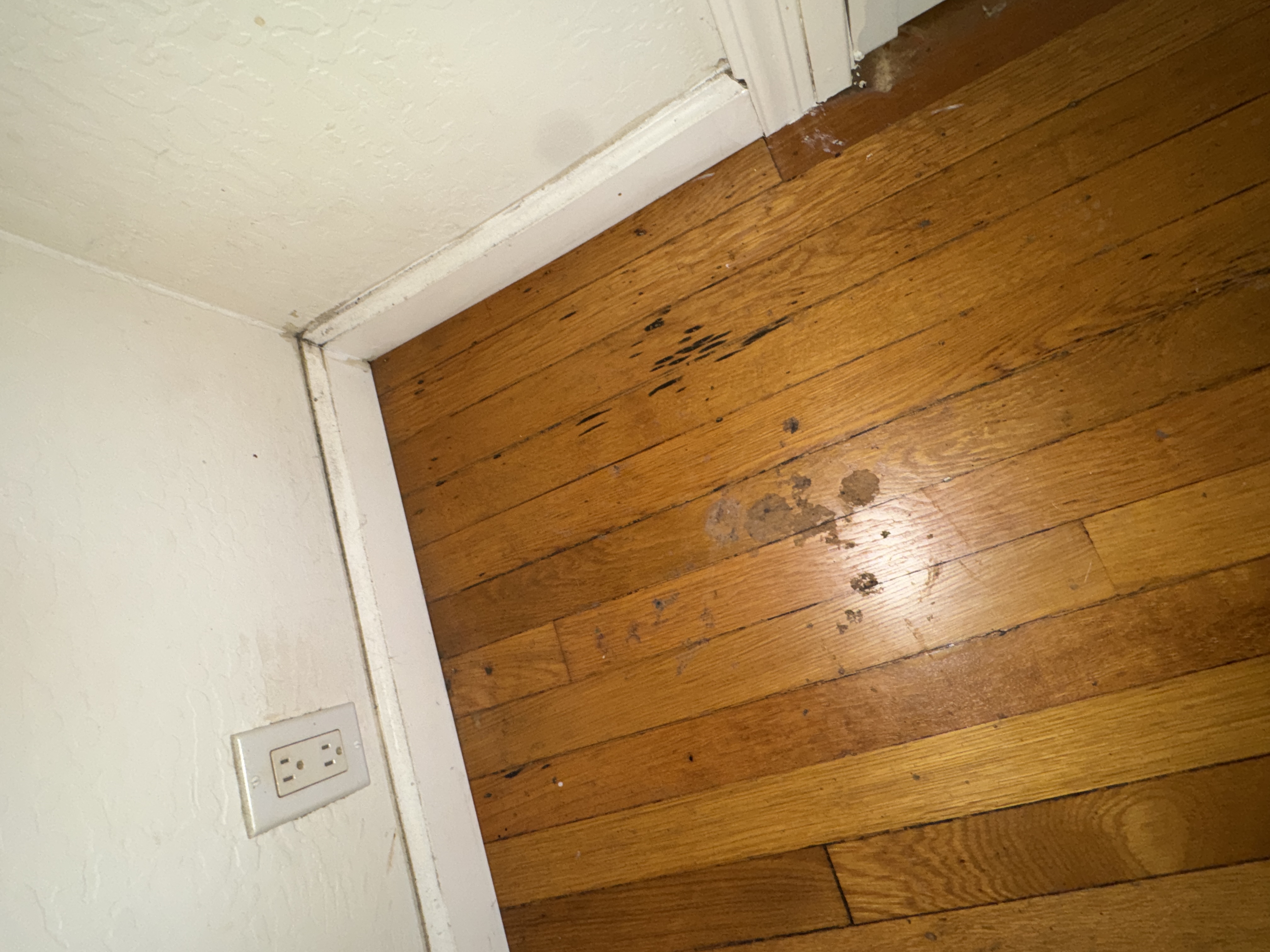 Bedroom 3 (Master), photo 9