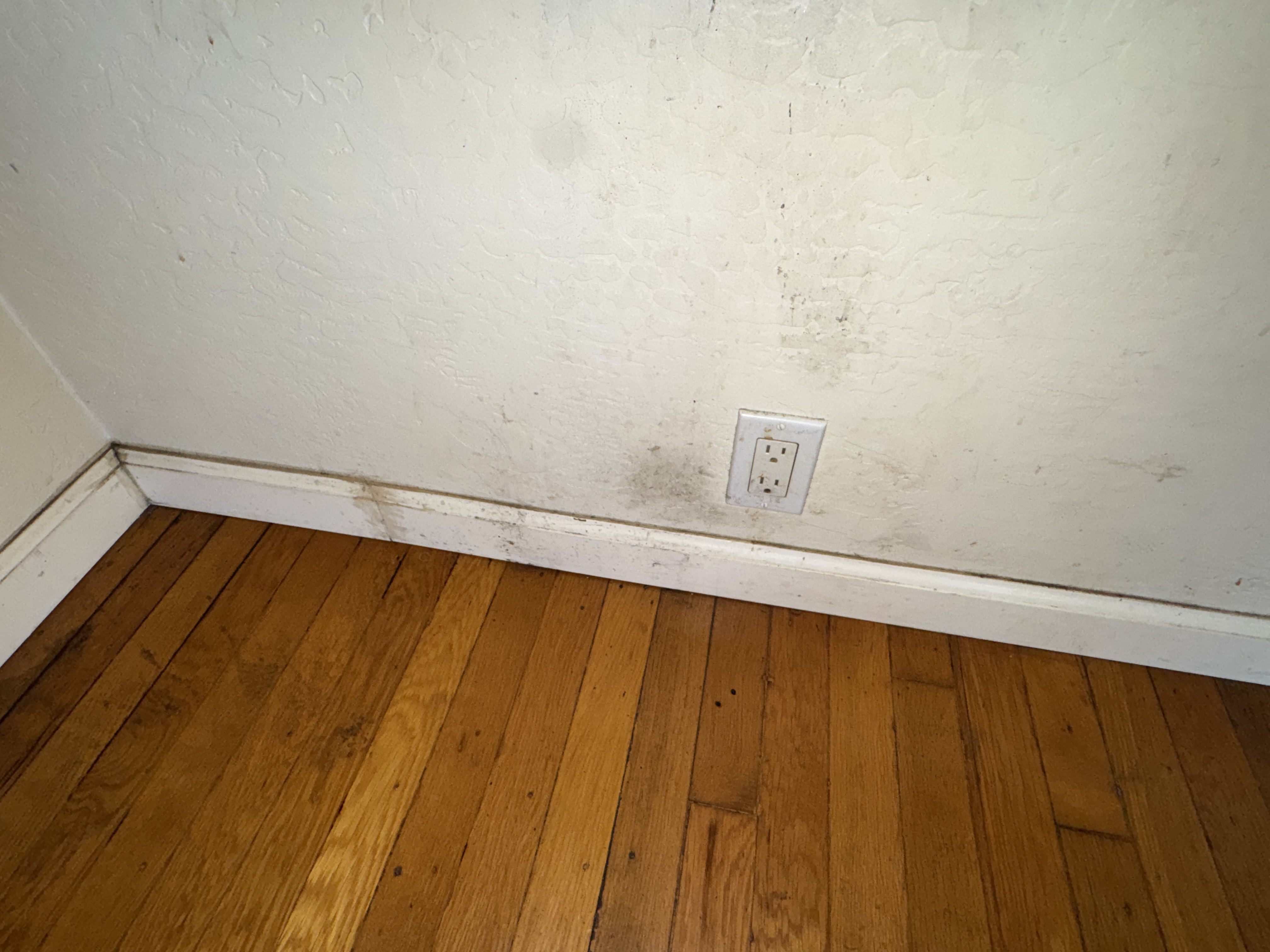 Bedroom 3 (Master), photo 5