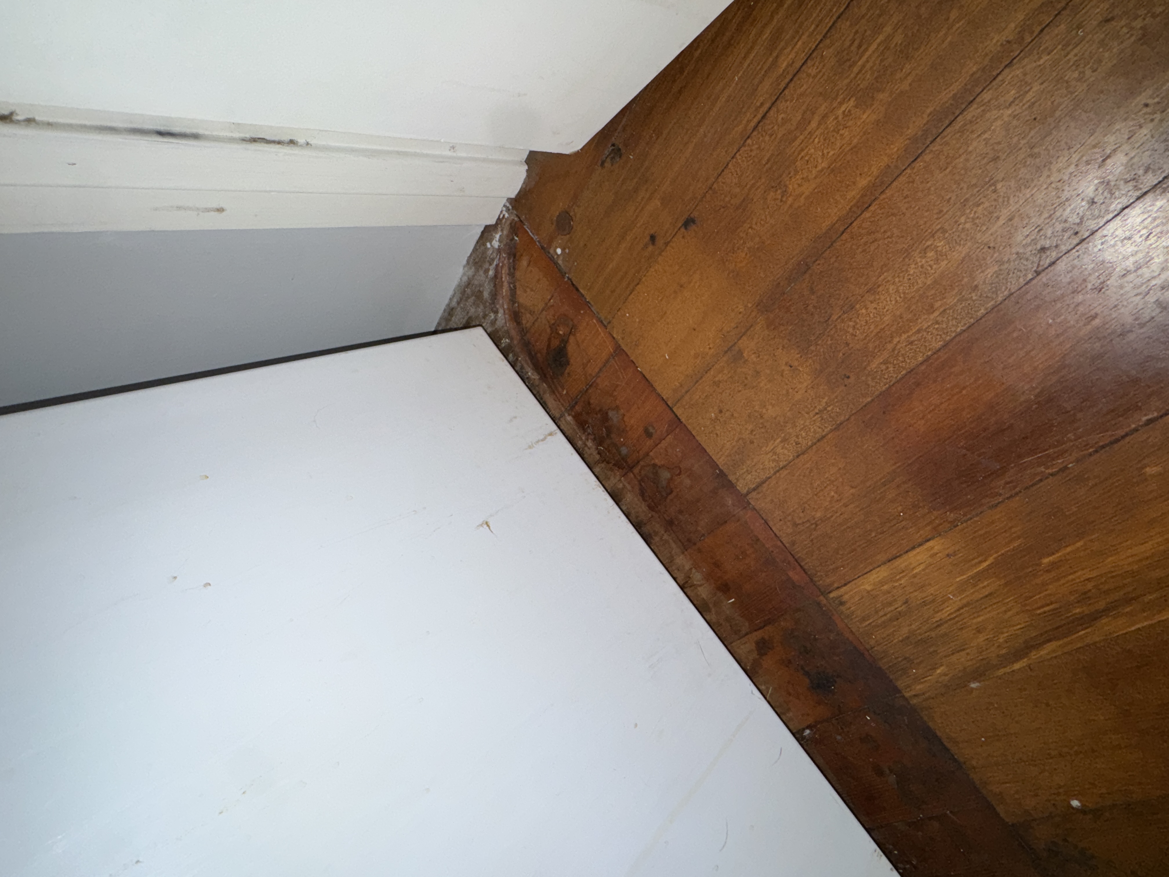 Kitchen, photo 13