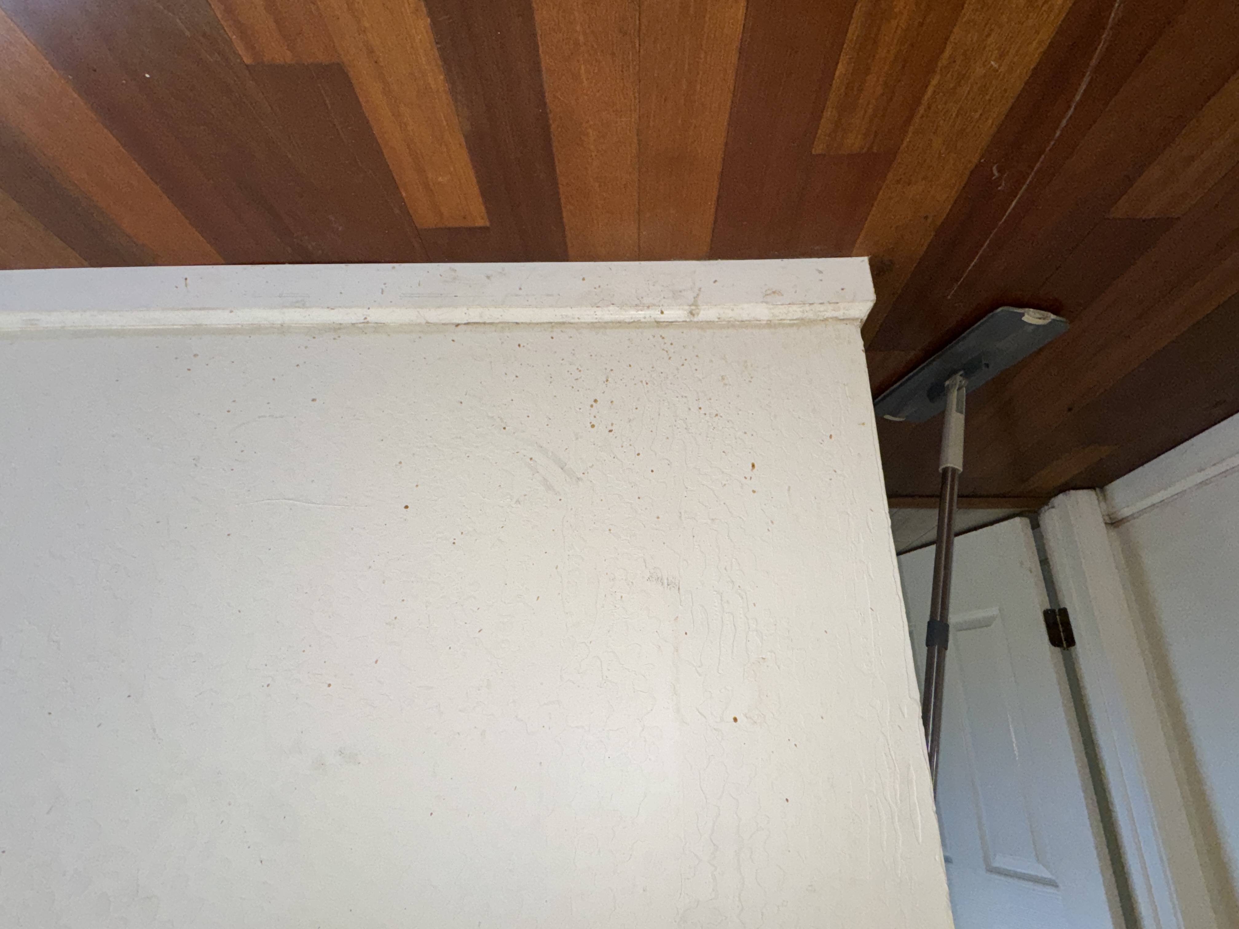 Kitchen, photo 38