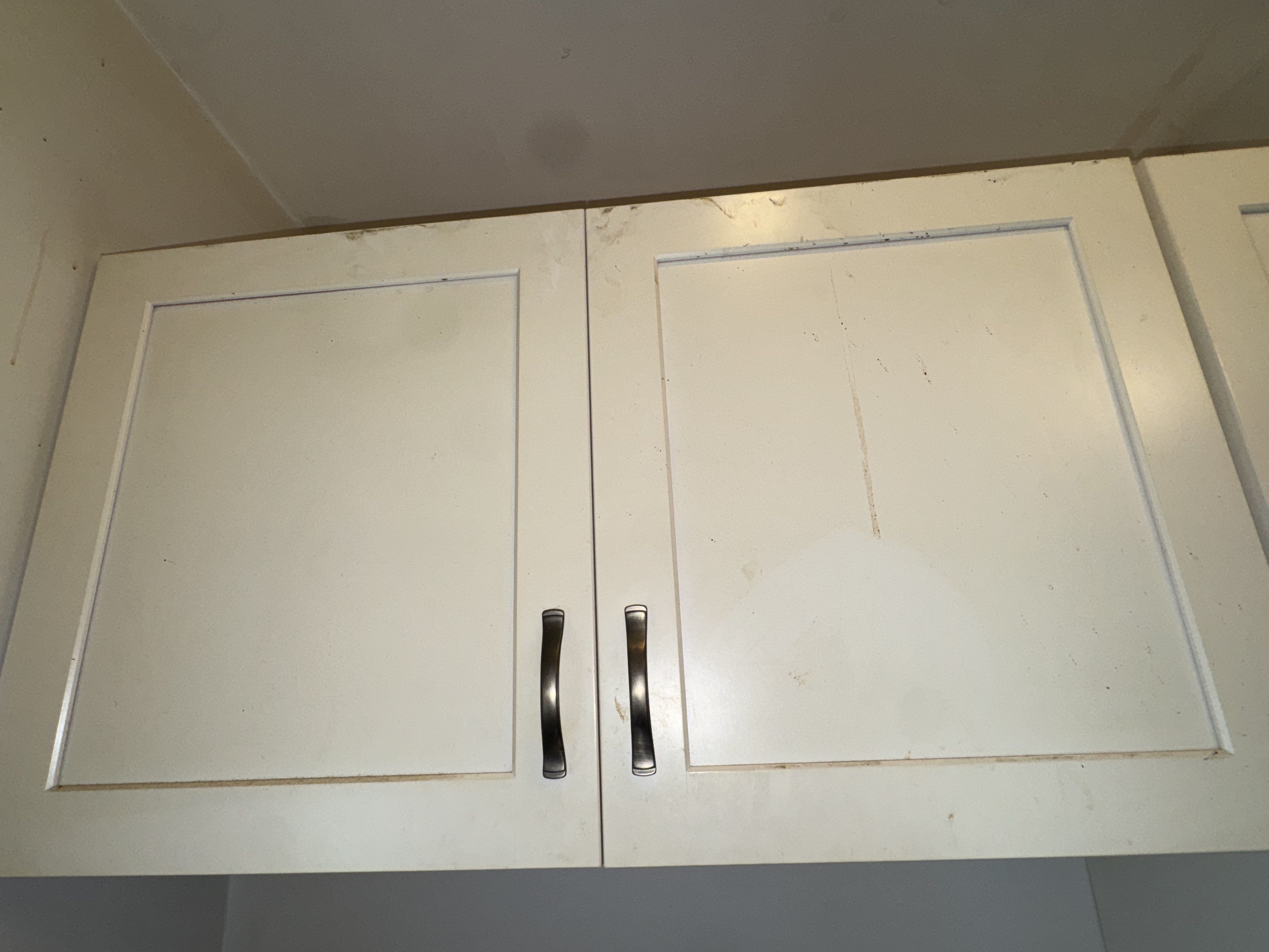 Kitchen, photo 23