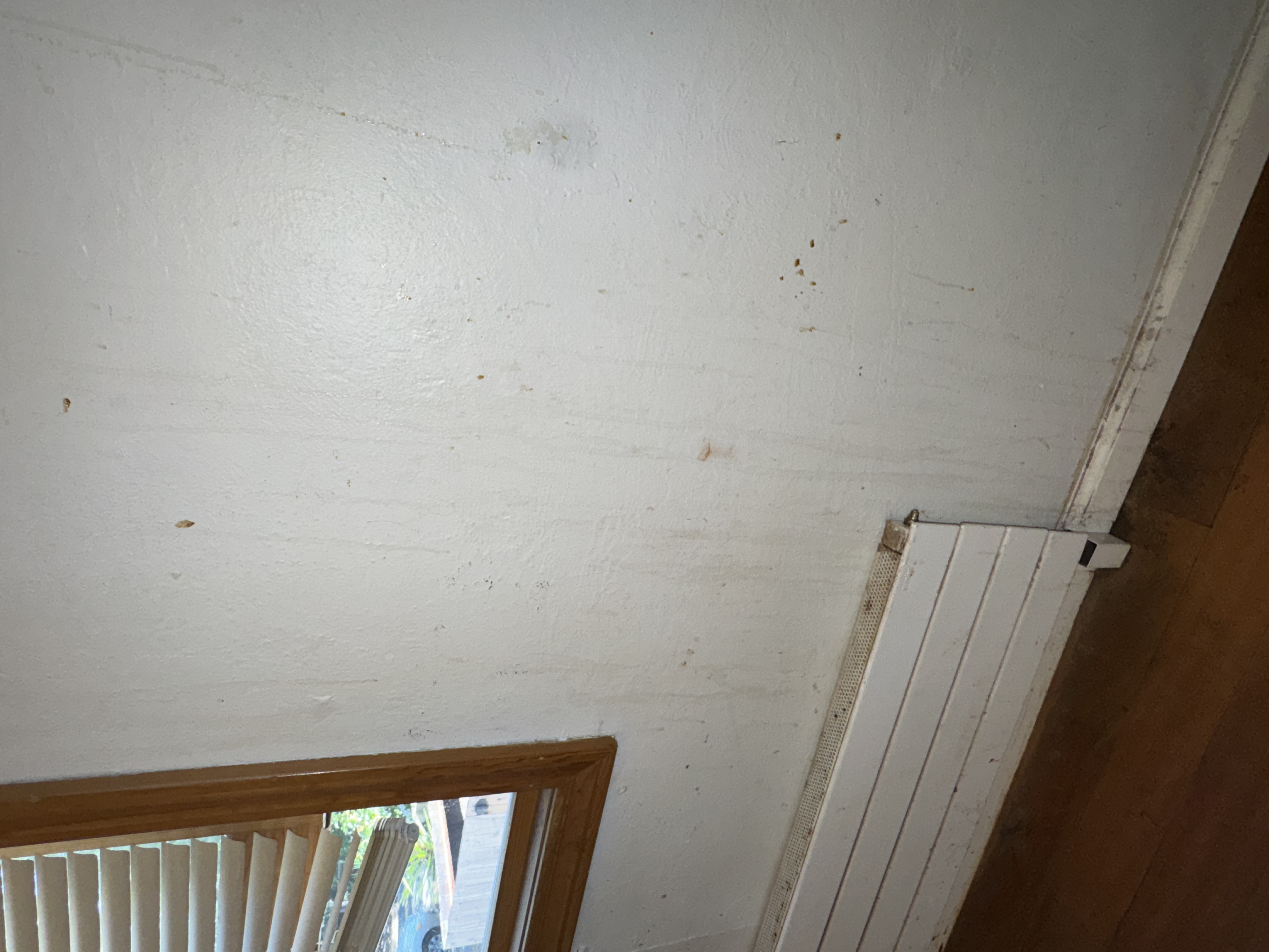 Kitchen, photo 14