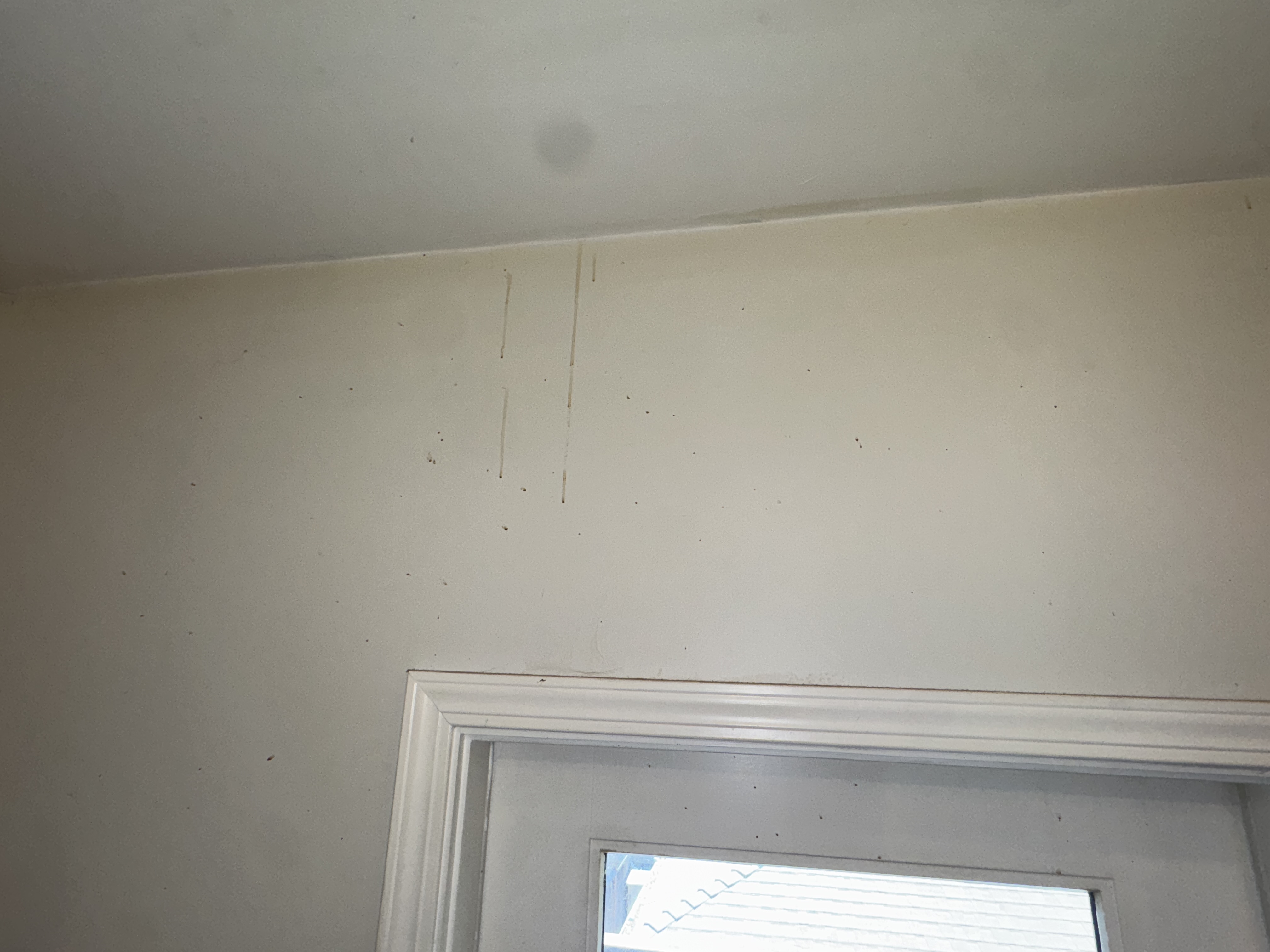 Kitchen, photo 25