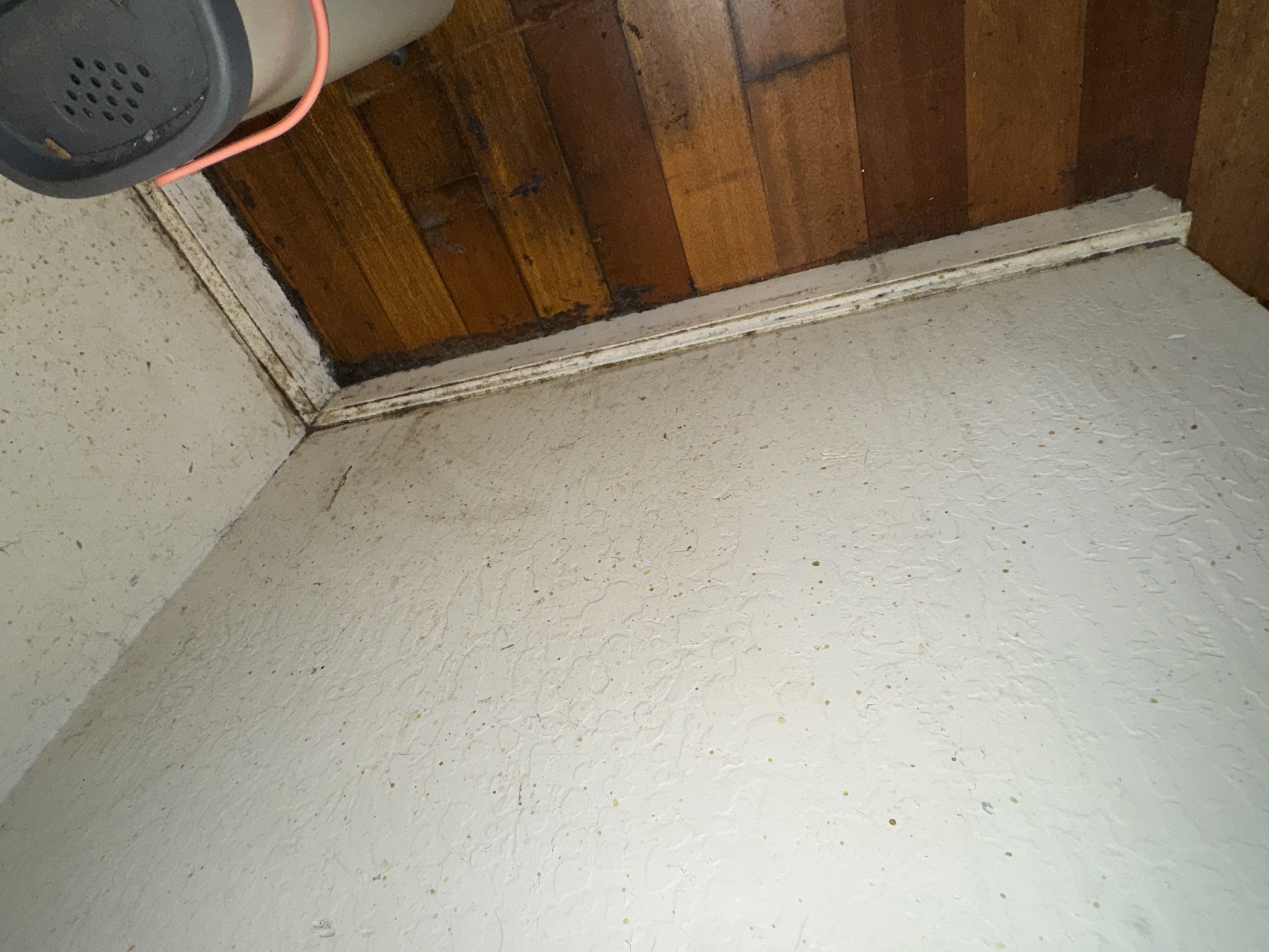 Kitchen, photo 4